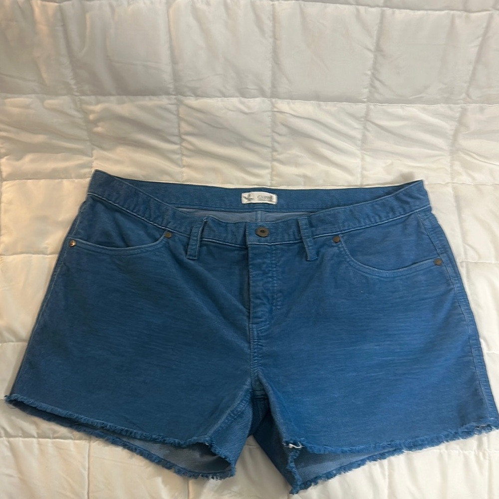 Carve Designs Blue Jean Shorts Casual Style